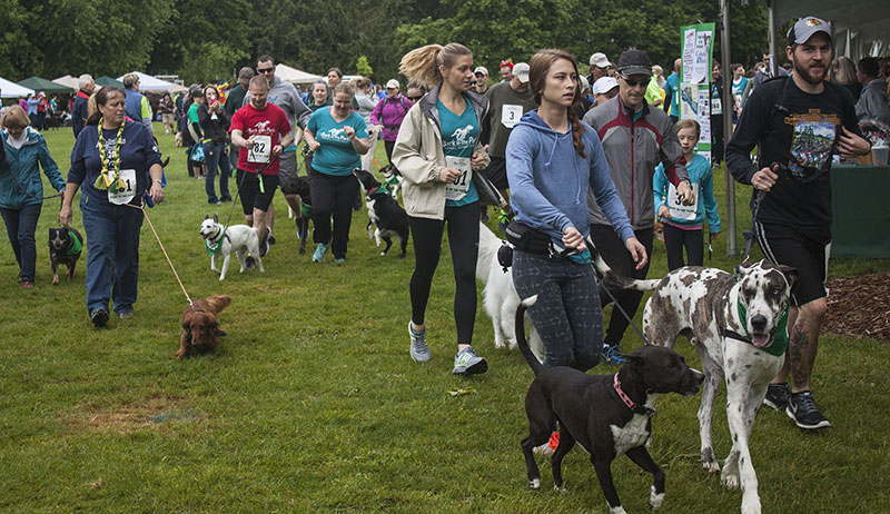 This year’s annual Bark in the Park raised over $50,000 for the Greenhill Humane Society. Savannah Carter, Oregon News Lab